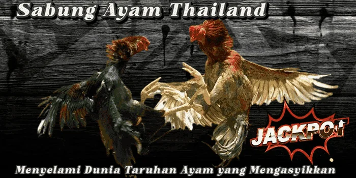 Sabung Ayam Thailand – Menyelami Dunia Taruhan Ayam yang Mengasyikkan