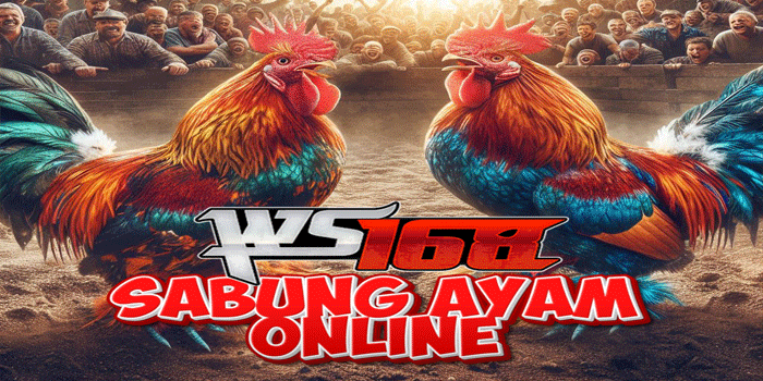 Tips Memilih Ayam Jago Di Sabung Ayam WS168